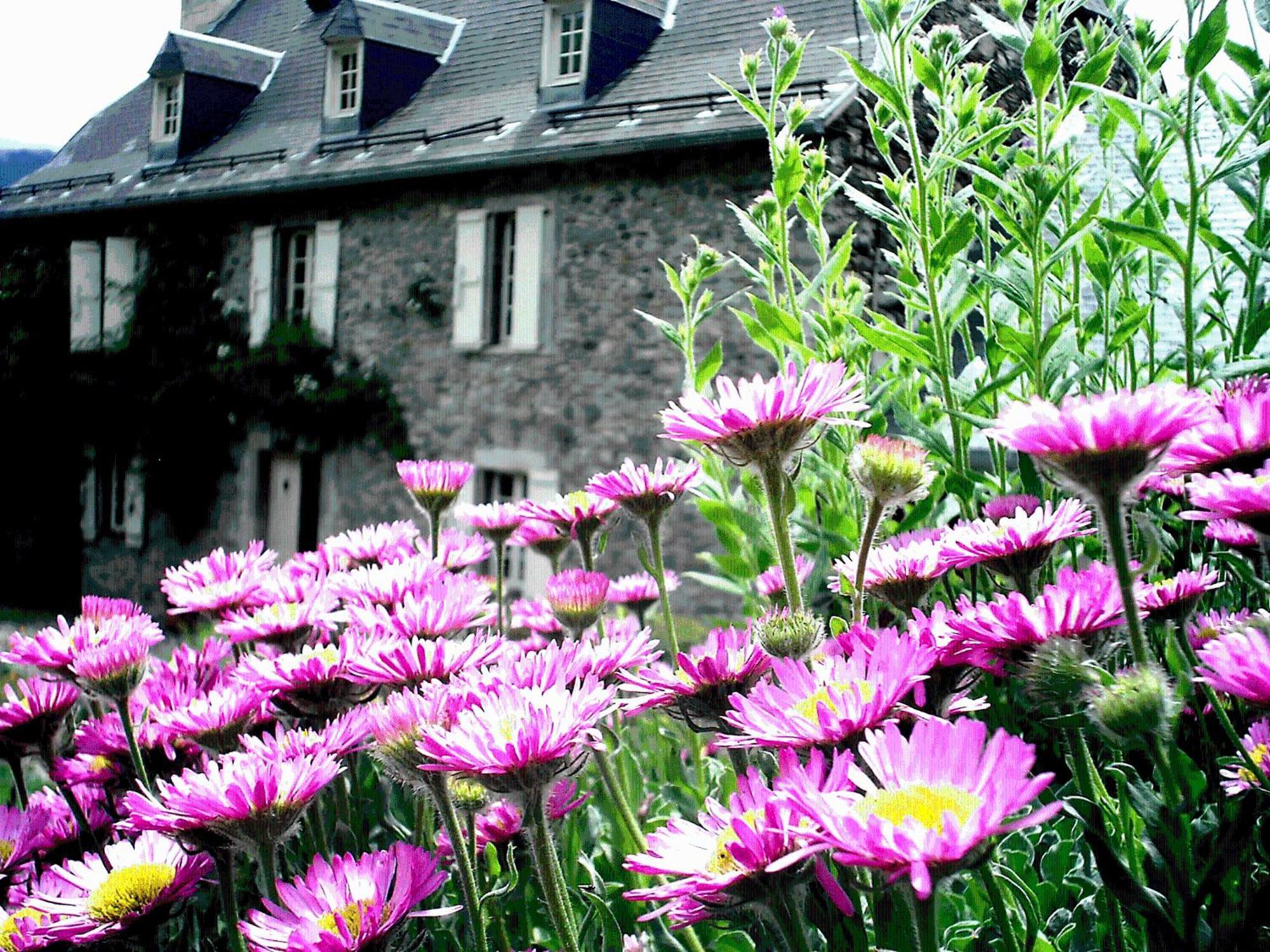 Maison Jeanne Saint-Paul-d'Oueil Bagian luar foto